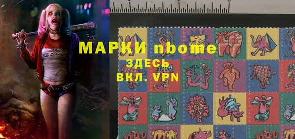 индика Заволжск