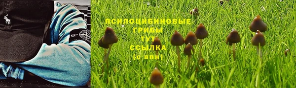 крисы Заволжье