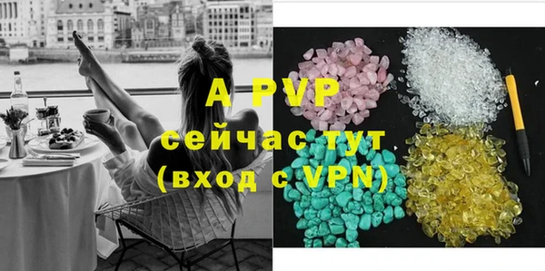 индика Заволжск