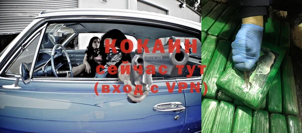 индика Заволжск